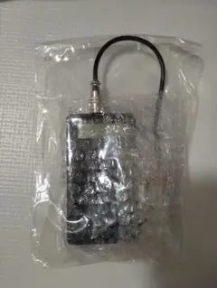 Item thumbnail for item f87e755a-512c-4e7f-ba45-57f7d9a4645e
