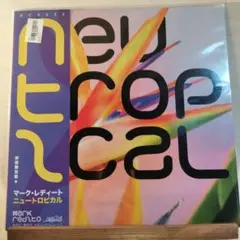Neoncity Hits! 初回限定版 レコード 2025年最新】NEONCITY レコードの人気アイテム - メルカリ