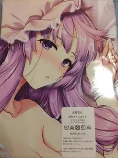 パチュリー・ノーレッジ　抱き枕カバー　東方Project