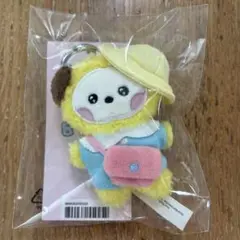 BT21mini minini ぬいぐるみキーリング(PICNIC）CHIMMY