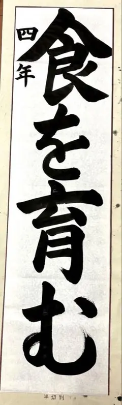 JA共済書道手本 4年生 条幅