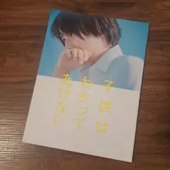 子供はわかってあげない【映画パンフレット】