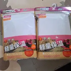 Item thumbnail for item ae8b230c-ea49-4d3c-ae7a-cee6596456f8