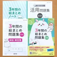 2025年度 3年間の総まとめ問題集 国語【中は生徒用】解説解答集 ノート付