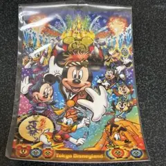 ディズニーランド30th 爽涼鼓舞 ポストカード