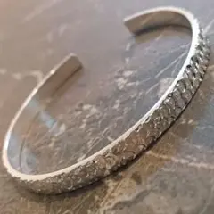 Item thumbnail for item 445aa3de-de58-4753-a9b2-144f6132ba3a