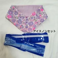 アイスノン　氷結ベルト　リバティカバー　各１点セット販売　ベッツィネオン