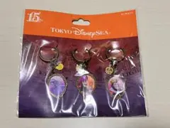東京ディズニーリゾート　キーチェーンセット　ヴィランズ