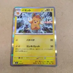パモット 　1枚　SVC