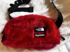 THE NORTH FACE × Supreme