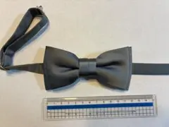 Item thumbnail for item 7239d519-2c78-4e82-90f3-8996317ce6a2