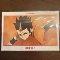 ハイキュー 西谷夕 ポストカード ハイキュー展