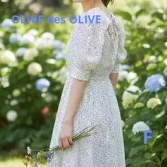 Item thumbnail for item e615b788-2ede-4922-96b3-2808d1b51311