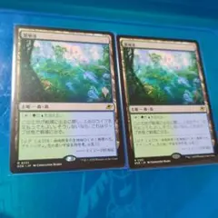 繁殖池　プロモパック版　2枚セット　mtg