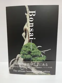 盆栽芸術-人- : 小林國雄の世界 アジア太平洋観光社　サイン本 盆栽芸術－人－ 小林國雄の世界 通販｜セブンネットショッピング