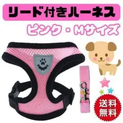 Item thumbnail for item 110d632d-de16-4789-9c69-bd45549d9360