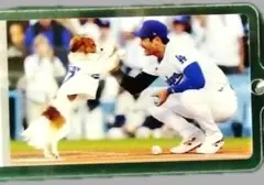 顔に傷 【海外限定】大谷翔平 &デコピン キーホルダー ドジャースMLB公式