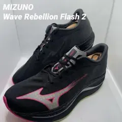 Mizuno Wave Rebellion Flash 2 26cm