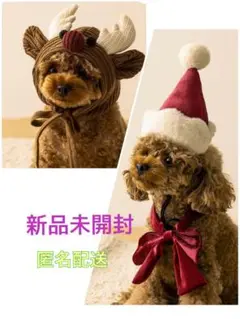 Item thumbnail for item 8e5baff1-dee2-45c2-be9b-c61deeab14d4