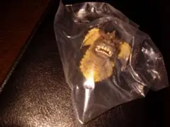 ゴジラ1番くじ　モンスターヘッド　マグネット
