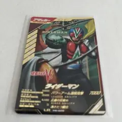 [美品] ガンバレジェンズ LR 仮面ライダー ライダーマン PB-008
