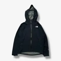 THE NORTH FACE GORE-TEX クライムジャケット テック系 L
