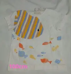 ベイビーチアー　おさかな　Tシャツ　オフホワイト　100cm