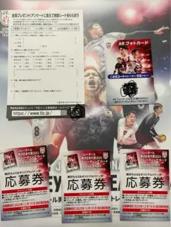男子バレー日本代表 バインダー応募券3枚 ARフォトカード アンケートシート