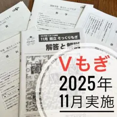 2024年11月17日実施　中3 Ｖもぎ