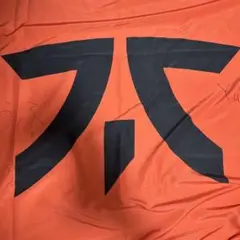 FNATIC 応援フラッグ　サイン入り 2025年最新】fnatic yukafの人気アイテム - メルカリ