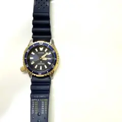 Item thumbnail for item 0c308116-7572-4337-82ae-80adb5aee7c0