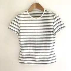 トラサルディ ストライプ 半袖Tシャツ サイズ40柔らか美品　TRUSSARDI