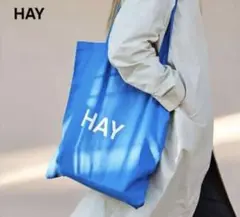 hay 白ロゴ