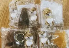 けだまだま　柴犬　5個セット