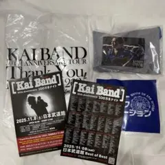 【新品未開封】 甲斐バンド VIP席限定グッズ + ライブ会場限定チラシ