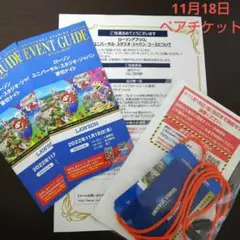 USJ ユニバーサルスタジオジャパン 貸切りナイト 11月18日 2枚