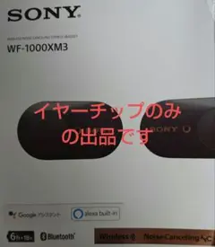 Item thumbnail for item 9c97caa1-4a15-4f15-b773-f067e744f4ab