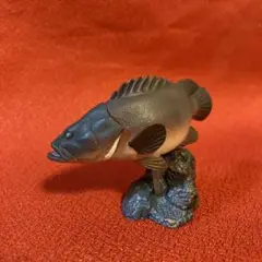 原色海水魚図鑑　クエ