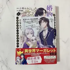 身に覚えのない理由で婚約破棄されましたけれど、仮面の下が醜いだなんて、…1巻