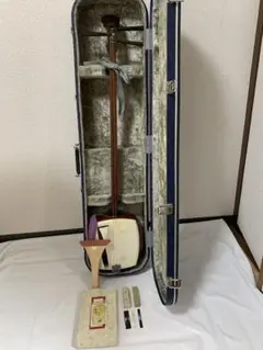 Item thumbnail for item f8a4ca6a-f681-4388-8717-d949074afe2d