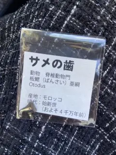 Item thumbnail for item 17f9e4e9-0e08-4949-8e4b-195cdb7d3142