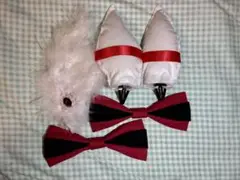 Item thumbnail for item 6c8116bc-e10e-426c-9911-a8da8d418b34