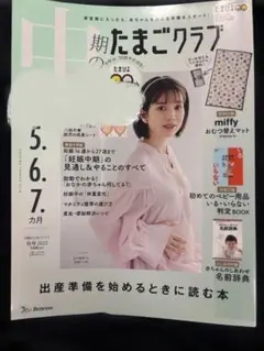 Item thumbnail for item 54aae63e-4041-47fe-9c34-f4f48f58f22b