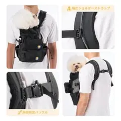 Item thumbnail for item bc06747d-67ac-4d30-b022-55ce98f20b40