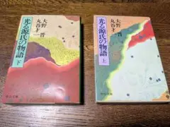 光る源氏の物語 上・下