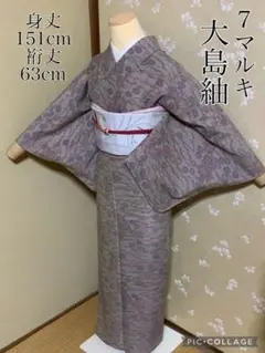 大島紬 正絹 7マルキ 草花文様 シック 吹き寄せ 身丈151