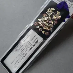 Item thumbnail for item b89c13b2-cdec-4d3b-bc1a-cd0eca310153