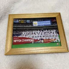 ドラゴンズ2007 NIPPON CHAMPIONS 記念写真