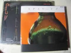 無傷CD チキンシャック Chicken STAYーUP 土岐英史 山岸潤史eb