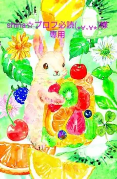shina☆プロフ必読(⁎ᴗ͈ˬᴗ͈⁎)様　専用